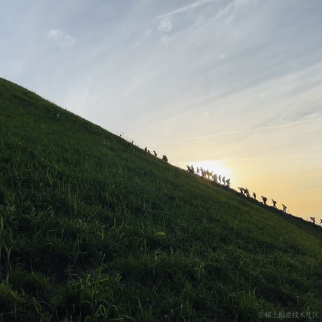 秋秋秋糖于2023-05-16 12:43发布的图片