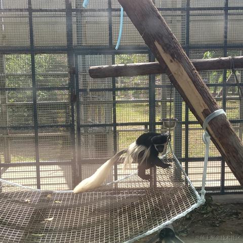 浮途途于2023-04-30 18:51发布的图片