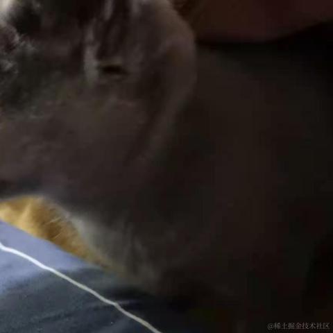 Emotion于2020-12-18 11:52发布的图片