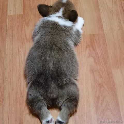 牛肉烧板黎于2020-12-09 13:01发布的图片