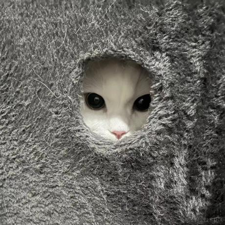 阿sir于2022-08-11 10:14发布的图片