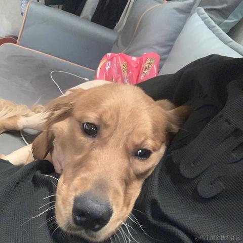 苏煜于2023-08-02 15:07发布的图片