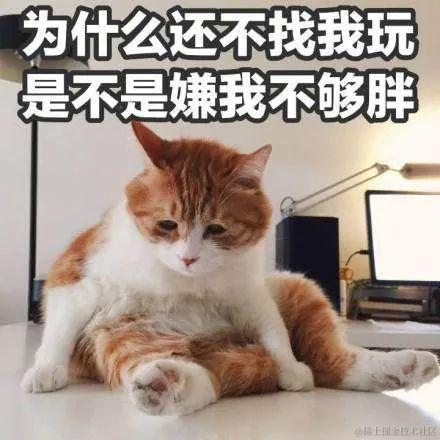 阿飞756于2021-10-31 16:40发布的图片