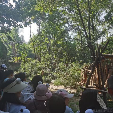 爱吃嘉晚饭于2023-07-05 09:22发布的图片