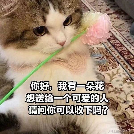 余祉晴于2023-04-12 23:06发布的图片