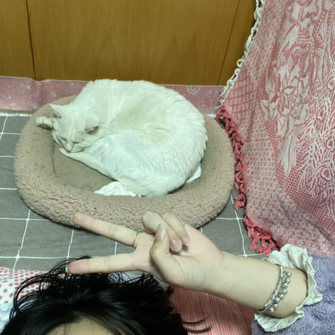 钮钴禄仙贝于2022-12-02 20:45发布的图片