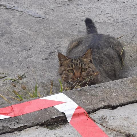 小橙子呀于2022-11-03 16:42发布的图片