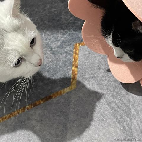 Sep_29于2021-11-17 11:43发布的图片