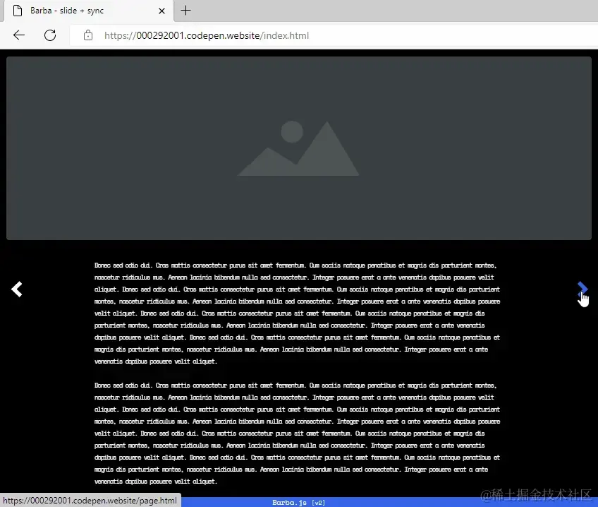 10101010.webp