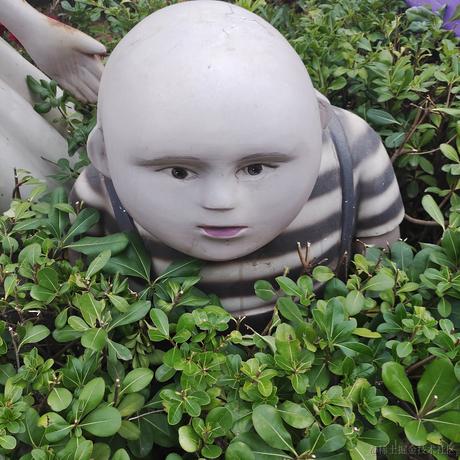 比巴卜魂于2022-11-13 22:50发布的图片