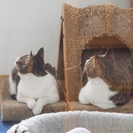 熙宁于2022-02-14 13:58发布的图片