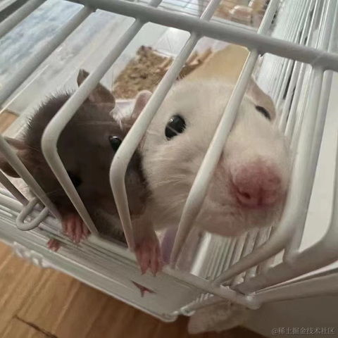 Liondee于2022-11-10 10:50发布的图片