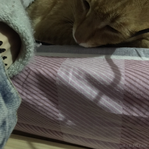 Li_Cat001于2021-02-02 07:34发布的图片