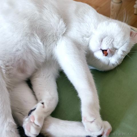 奔跑吧鸡翅于2023-01-14 09:52发布的图片