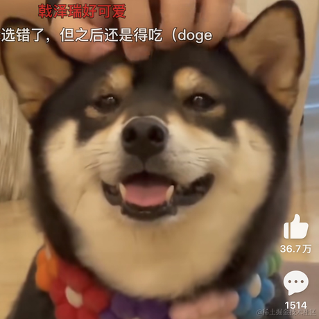 清欢爱蹦跶于2022-04-27 06:40发布的图片