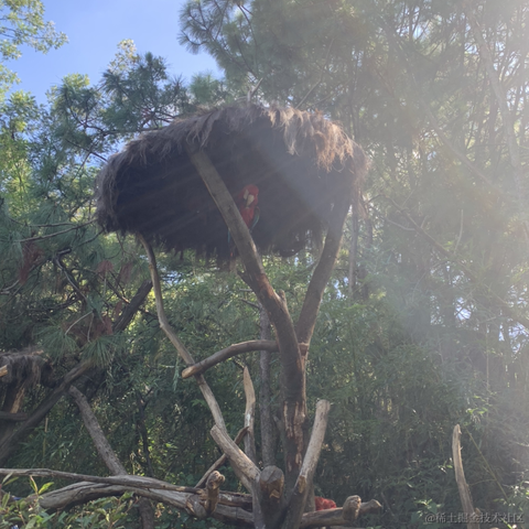 切图_仔于2022-10-05 21:46发布的图片