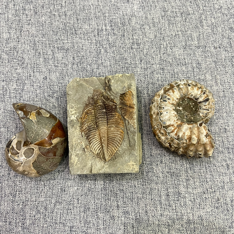 略略略啦于2024-06-03 10:18发布的图片