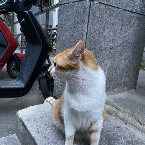 宁在春于2023-06-13 18:56发布的图片