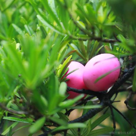 提刀挽落樱花_于2022-12-05 19:11发布的图片