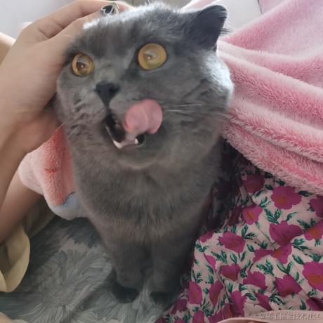 用户2365517671447于2022-11-13 00:34发布的图片