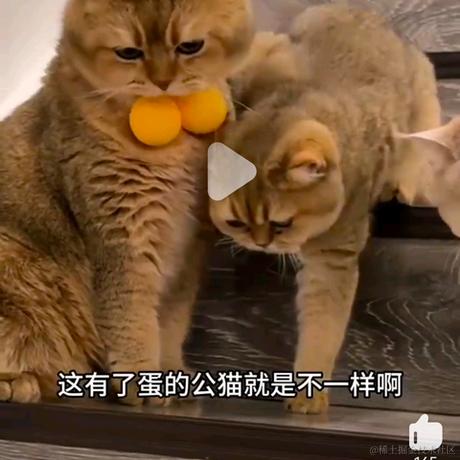 优秀稳妥的小鳄鱼于2024-01-15 14:20发布的图片