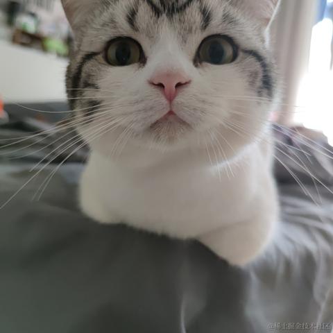 程序猿秃头之路于2021-12-20 22:04发布的图片