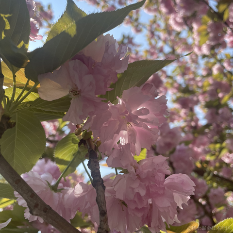 selayet于2023-04-12 20:22发布的图片