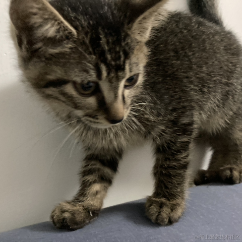 白月光和朱砂痣于2021-02-04 16:25发布的图片