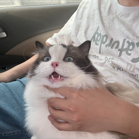 端盘花生米于2022-05-27 12:32发布的图片