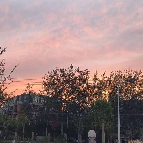 mirai3zZ于2023-06-13 15:12发布的图片