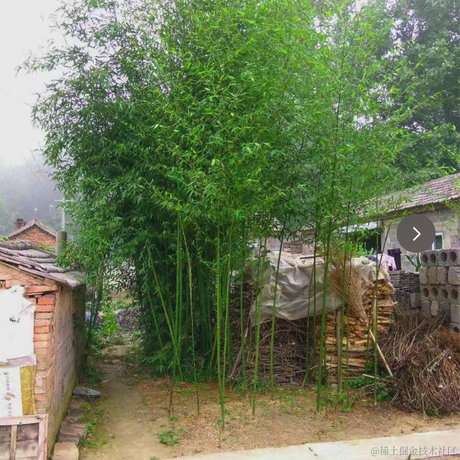 张小凡2022于2022-11-12 09:59发布的图片