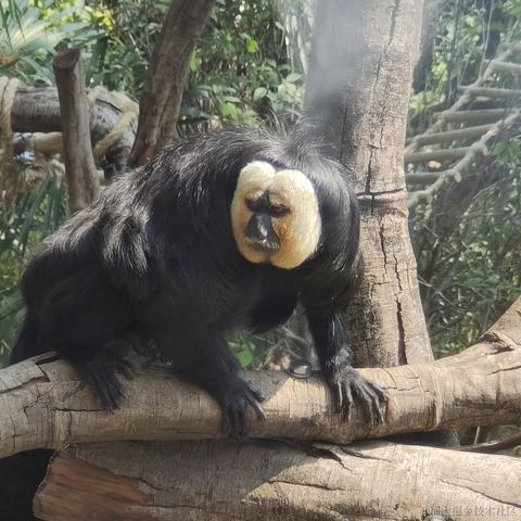 丁烷人是我了于2022-11-11 22:10发布的图片