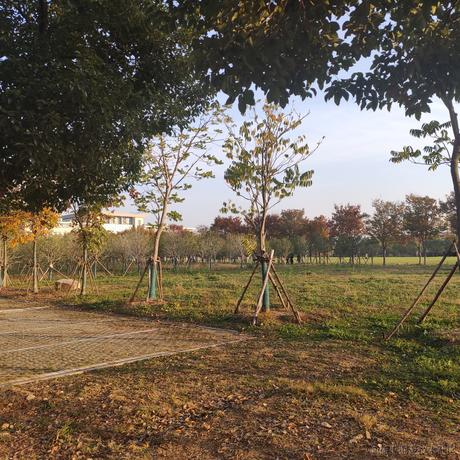 JeeMaK于2022-11-16 20:00发布的图片