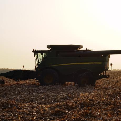 书包肚肚于2022-10-13 16:38发布的图片