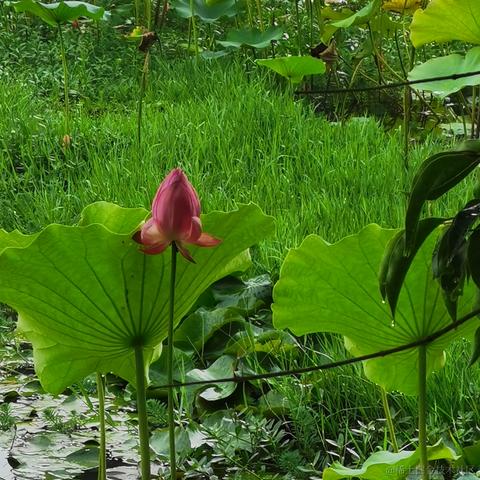 已注销于2021-08-11 18:11发布的图片