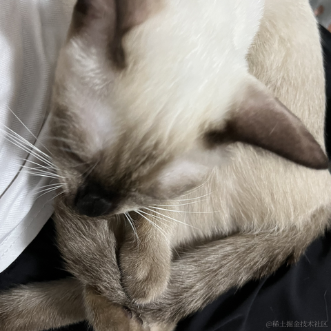 近战仙师于2022-09-20 10:49发布的图片