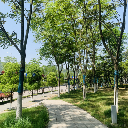 soWhat于2022-04-11 11:06发布的图片