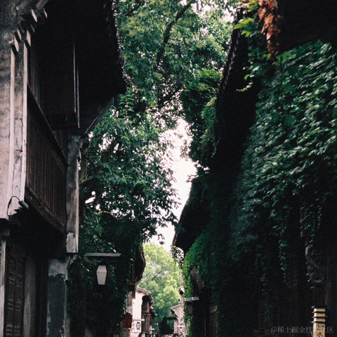 紫菜捏于2022-11-16 09:52发布的图片