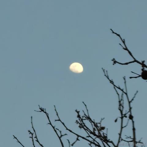 SUMU于2023-04-02 23:38发布的图片