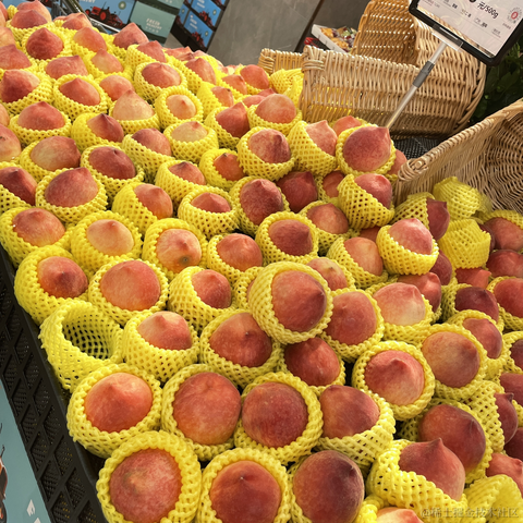 百年孤独html于2023-05-16 17:05发布的图片