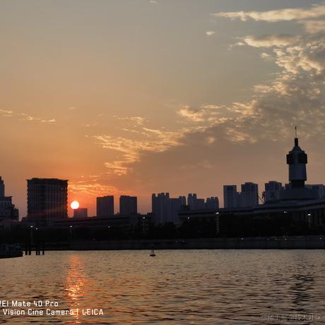 戴安娜小姐的狗于2023-06-25 09:25发布的图片