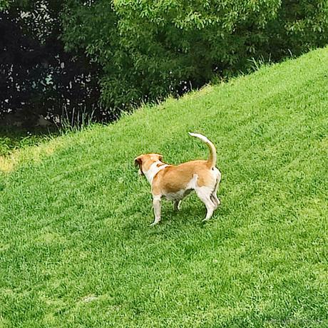 YDYK于2023-05-24 08:01发布的图片