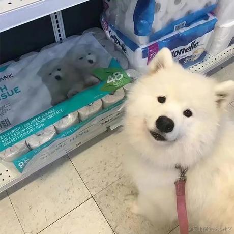 yeykira于2022-11-20 14:52发布的图片