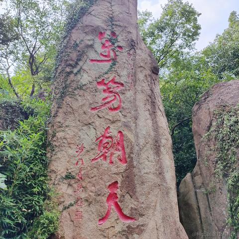 优秀稳妥的金枪小魔王于2022-09-12 09:57发布的图片