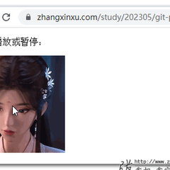 张鑫旭于2023-05-07 23:46发布的图片