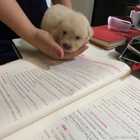 泡面泡牛奶于2022-01-26 09:58发布的图片