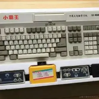 皮皮卡丘于2021-05-31 15:35发布的图片