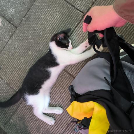 袖手的叶子于2022-11-28 12:06发布的图片