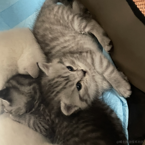 划水工程师_于2021-03-19 14:47发布的图片