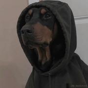 Tiamo的个人资料头像